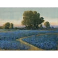 thumbnail image 2 of OToole, Tim 32x25 Black Ornate Wood Framed with Double Matting Museum Art Print Titled - Blue Bonnet Field I, 2 of 4