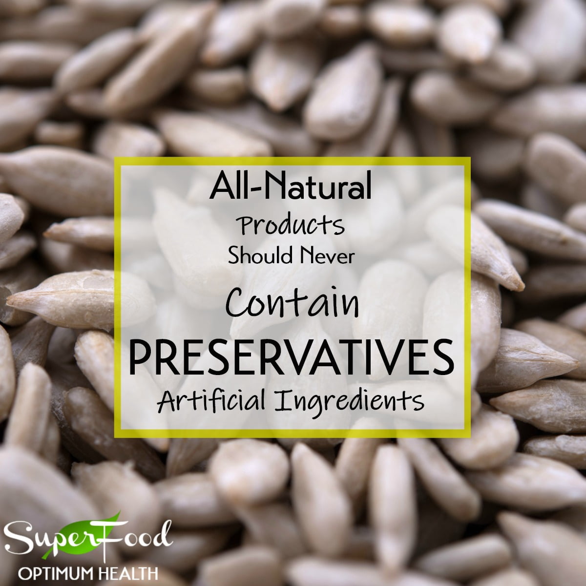Lightly Sea Salted Sunflower Seed Kernels by Gerbs - 2 LBS. - Top 14 Food Allergen Free & Non GMO - Vegan & Kosher