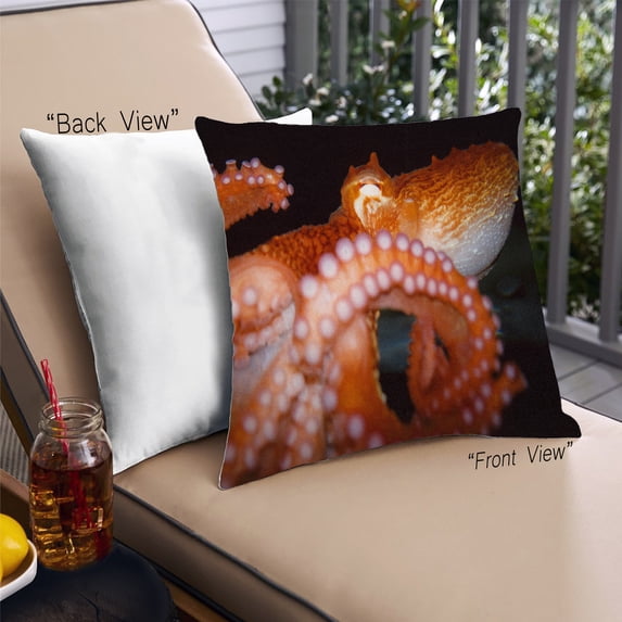 Ahgly Company Animals Octopus Outdoor Throw Pillow, 18 inch by 18 inch