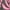 Bi Color Tropical Dark Aloe, variant on Terra & Sky Women's Plus Sweetheart Mini Dress, Sizes 0X-5X