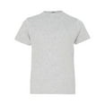 thumbnail image 1 of Youth Fine Jersey Tee, L, Heather, 1 of 1