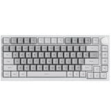 White Grey/HP Switch