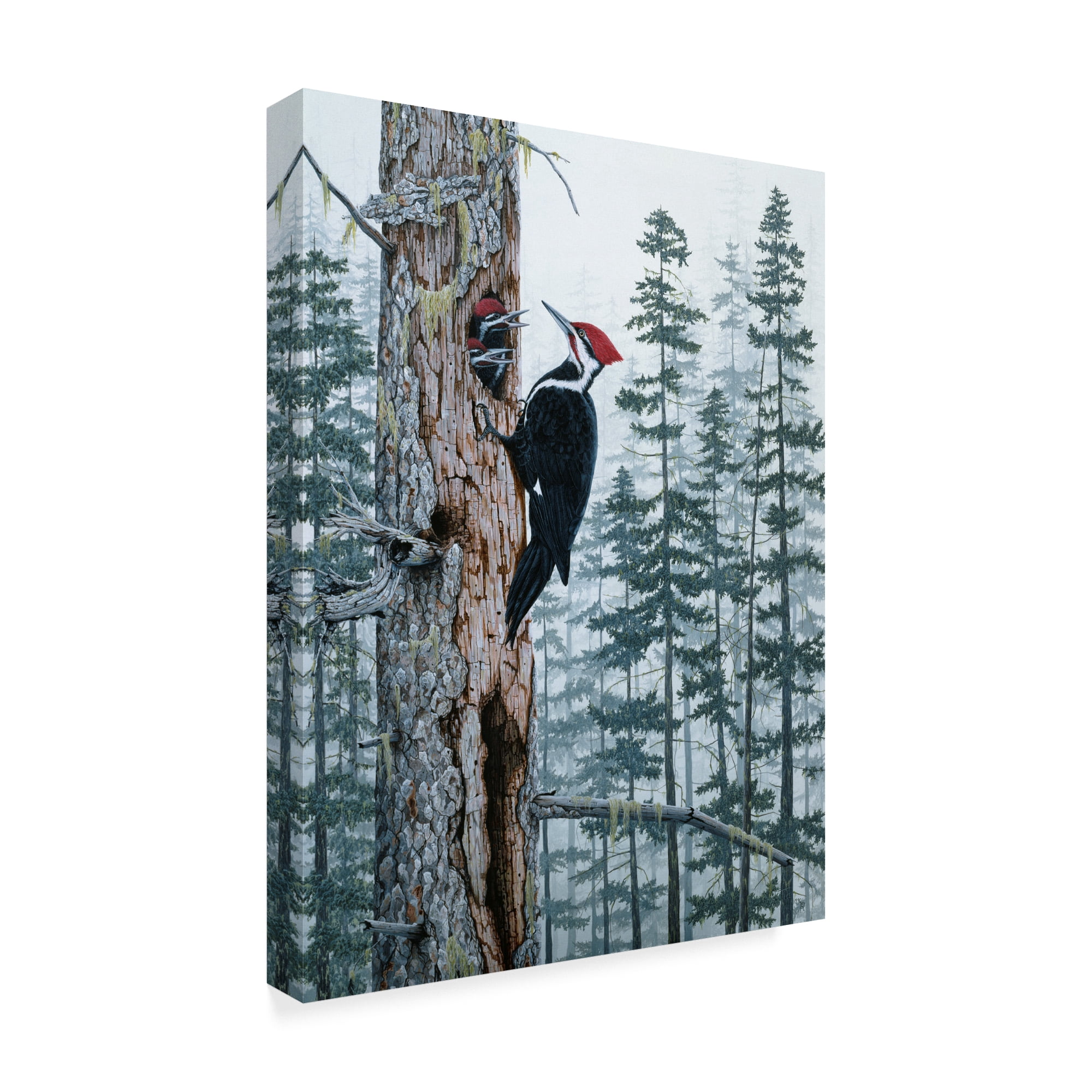 Trademark Fine Art 'Piliated Woodpeckers' Canvas Art by Jeff Tift