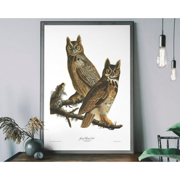 Great Horned Owls Vintage Wall Art, Birds Of America Decor, Antique Bird Illustration, John Audubon Poster Wall Art, Modern Wall Decor, 8x12 UNFRAMED