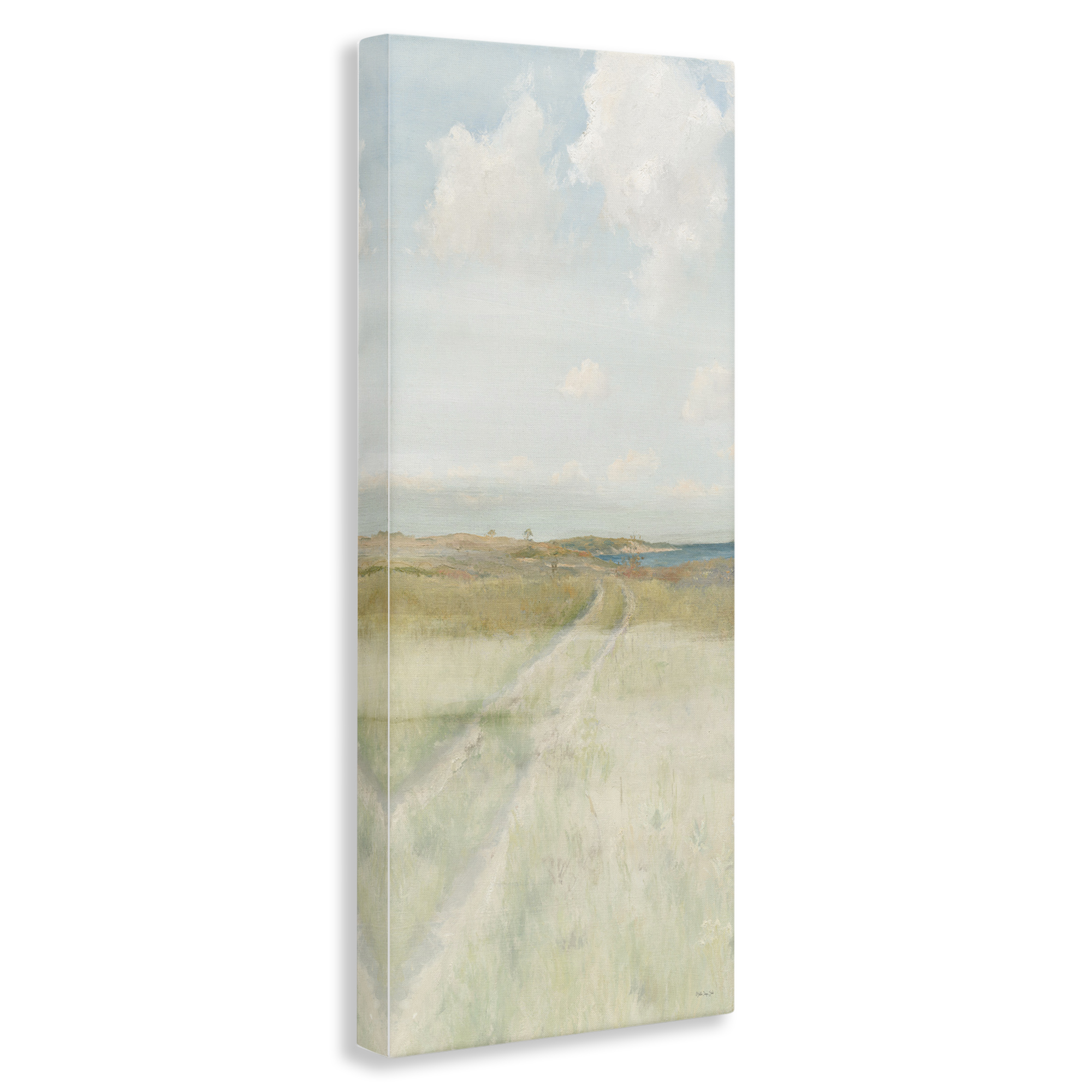 Stupell Industries Path To Beach Landscape Painting Gallery Wrapped Canvas Art Print Wall Art, 20 x 48
