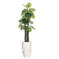 thumbnail image 1 of Vintage Home Artificial Faux Real Touch 7.67 Feet Tall Monstera Ceriman With Fiberstone Planter, 1 of 1
