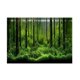 thumbnail image 1 of PVC Adhesive Underwater Forest Tank Background Poster Backdrop Decoration Paper (61*41cm), 1 of 4