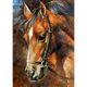 thumbnail image 1 of Taladro Pintura Diamante (DE4112) 5D DIY Caballo Completo Punto de Cruz Bordado Kit (C) 40x50cm FLhrweasw Nuevo, 1 of 1
