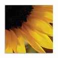 thumbnail image 2 of Gango Home Decor Contemporary Sunlit Sunfloweres VI by Monika Burkhart (Printed on Paper); One 16x16in Fine Art Paper Giclee Print, 2 of 4