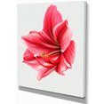 thumbnail image 2 of Big Red Flower Sketch on White - Large Floral Canvas Artwork, 2 of 3