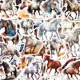 thumbnail image 1 of Pegatinas de vinilo, 60 unidades por lote, animales, caballos, impermeables, anime, 1 of 4