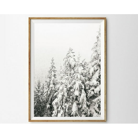 Snowy Trees Print Nordic Wall Art Prints Winter Decor Snow Covered Trees Wall Art Winter Photography Evergreens Pine Trees Wall Art, Modern Wall Decor, 8x12 UNFRAMED