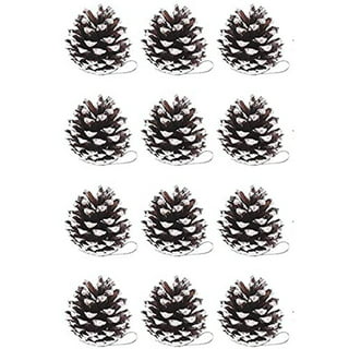 Yyeselk 9cm 8Pieces Pine Cones for Christmas Tree Christmas Pine Cones  Ornaments Frosted Pine Cones Decorations Mini Pine Cones Xmas Pinecones  with String Pendant Crafts for Winter Farmhouse Party 