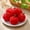 Red, variant on FEOLGEHLY 2 Pcs Cute Apples Decompression Small Apples Healing Doll Toy for Toddlers 1-3, Christmas Stocking Stuffers for Kids, Holiday Christmas Birthday Gifts Party Favors, Goodie Bag Stuffers, Red