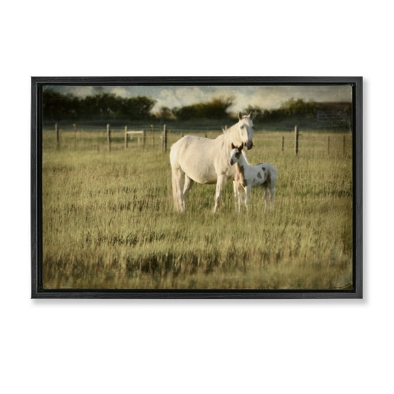 Stupell Industries Rural Horse and Foal Landscape Photography Black Floater Framed Canvas Art Print Wall Art, 25 x 17