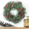 thumbnail image 2 of Northlight 24" Glittered Artificial Boxwood  Pine Cone and Red Berry Christmas Wreath - Unlit, 2 of 3