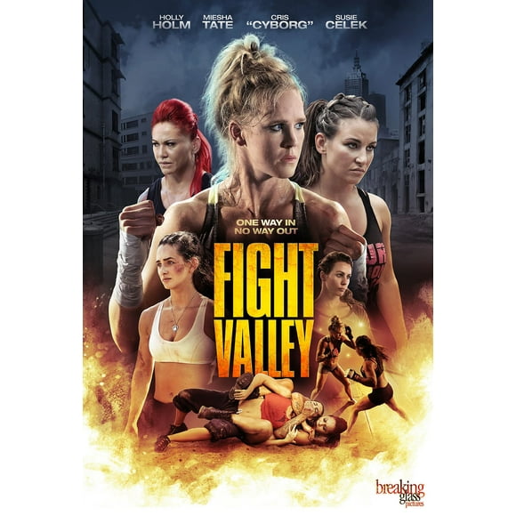 Fight Valley