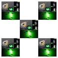 thumbnail image 1 of heritaly Fishing Light Luminous Fluorescent Glow In The Dark Mini LED Underwater Lures Attraction Fish Tools Sports Lamp Device red 5Set, 1 of 6