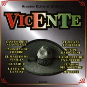 Grandes Exitos Al Estilo De Vicente Fernandez