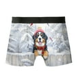 thumbnail image 2 of Playful Bernese Mountain Dog Welcomes Winter Snowy Day with Cardinal Bird All Over Print Boxer Briefs Underwear for Men Dad Berner Lover Gifts - 120177, 2 of 6