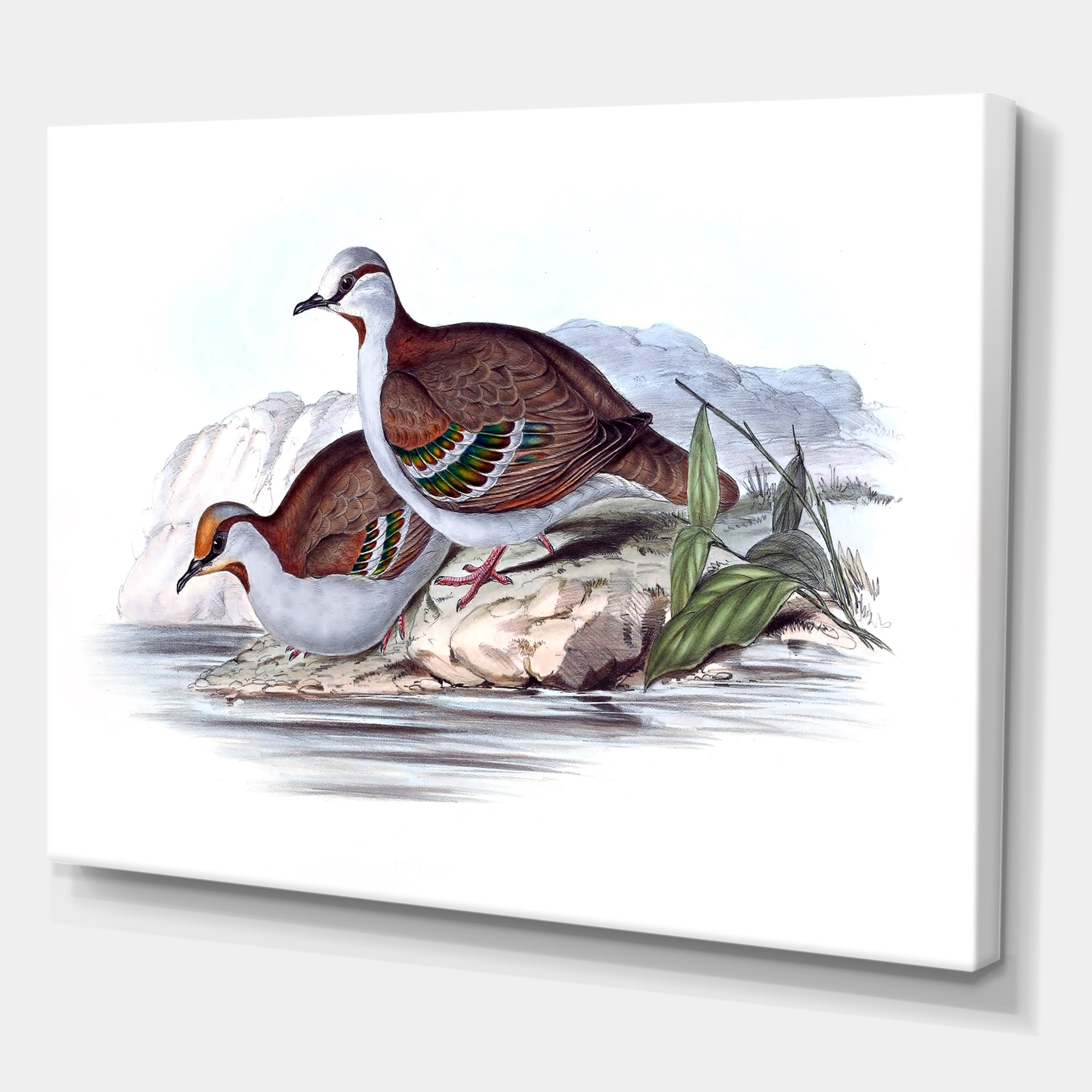 Ancient Australian Birds IX 12 in x 8 in Painting Canvas Art Print, by Designart