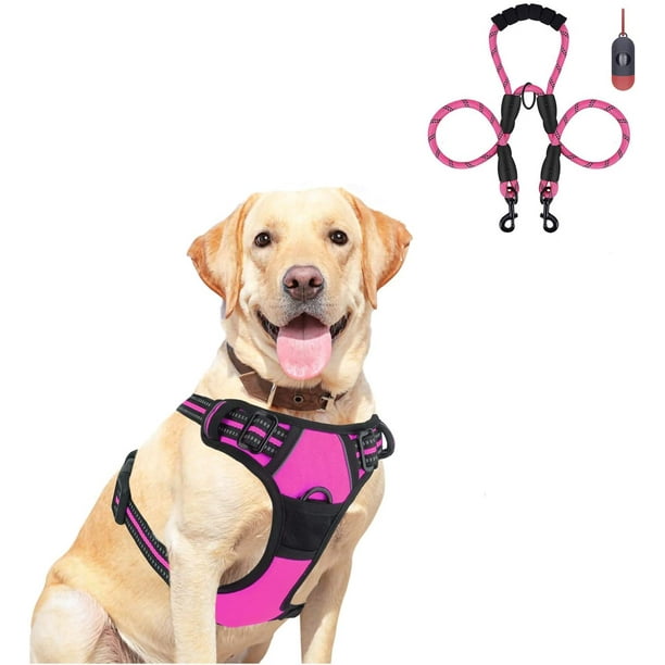 Double dog hotsell leash walmart