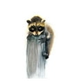 thumbnail image 2 of Shefranov, Olga 25x32 White Modern Wood Framed Museum Art Print Titled - Baby Raccoon, 2 of 4