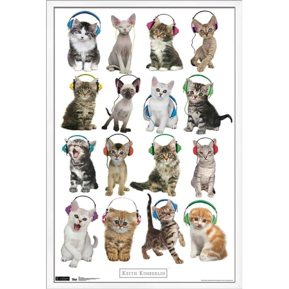 Keith Kimberlin - Kittens - Headphones Wall Poster, 22.375" x 34", Framed