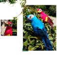 thumbnail image 5 of Manunclaims Realistic Large Parrot - Lifelike Foam Parrot Model Ornament Feathered Tree Craft DIY Lawn Sculpture Tree Decor Garden Decoration, 45cm/17.7in, 5 of 8