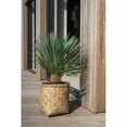 thumbnail image 2 of Pottery Pots USA Inc. Pottery Pots Zayn Bamboo Indoor Outdoor Round Planter, Natural Finish 14.6" x 14.6" x 14.3", 2 of 5