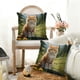 thumbnail image 1 of Juego de Cojines con Estampado de Animales | Cojín de Nailon y Elastano de 45X45 Cm | Multicolor | Decoración para Interiores y Exteriores | Ideal para Otoño E Invierno | Lavable a Máquina | 1 Funda, 1 of 6