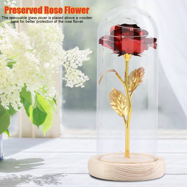 Rdeghly Rose Flower with Glass Cover,Preserved Rose Flower LED Light with Glass Cover & Wooden Base Valentines'Day Wedding Gift ,Preserved Rose Flower
