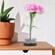 thumbnail image 3 of Kenzan Ikebana, Herramienta Redonda de arreglo de Flores de decoración de Flores Ikebana Kenzan de Acero Inoxidable con Juntas de Goma Desmontables para Clubes de Alta Gama, hoteles(60mm) Ecomeon no, 3 of 6