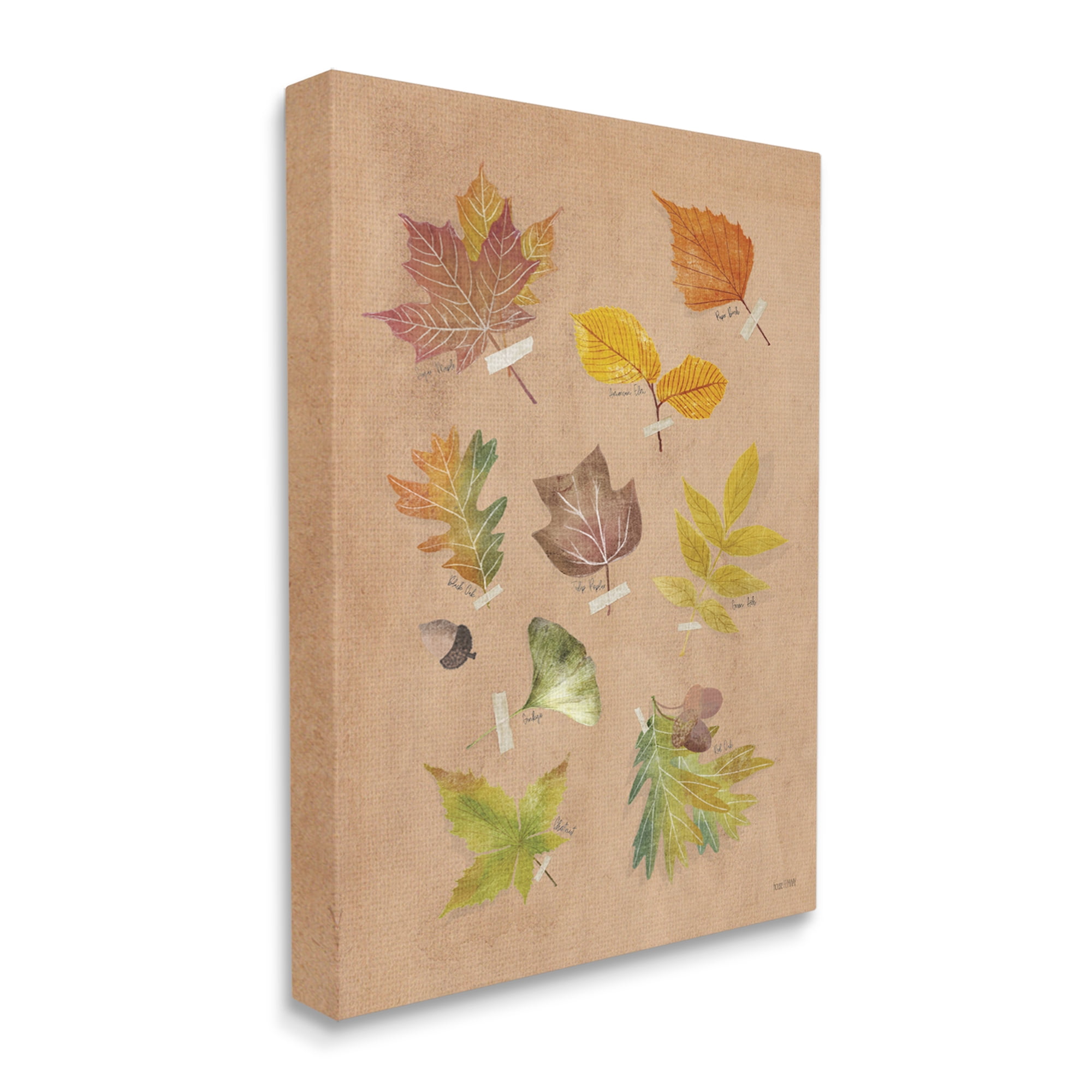 Stupell Industries Woodland Leaf Studies Botanical & Floral Painting Gallery Wrapped Canvas Print Wall Art, 24 x 30