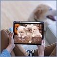thumbnail image 6 of Fintie Hybrid Slim Case for iPad (A16) 11th Generation 11 Inch (2025), iPad 10th Generation 10.9 Inch (2022), with Clear Transparent Back, Ocean Marble, 6 of 11