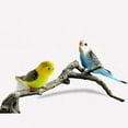 thumbnail image 6 of pdqouc Cute Parrot Mini Animal Model Miniature Ornament Garden Decor Ornament Accessory Outdoor Statues for Patio Yard Decoration Porch Lawn Ornaments, 6 of 9