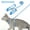 A - Blue, variant on Cat Harness and Leash for Walking Escape Proof Plaid Design Cat Harhess