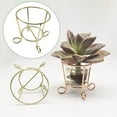 thumbnail image 4 of Soporte para plantas de 5 uds., estante para para Oro Sunnimix Soporte para rack de plantas de aire, 4 of 8