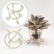 thumbnail image 4 of 5 piezas de soporte para plantas de aire de metal para decoración de cactus, tillandsia, hogar y oficina. Oro, 4 of 9