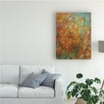 thumbnail image 3 of Trademark Fine Art 'Bohemian Abstract' Canvas Art by Danhui Nai, 3 of 3