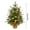 Color#1, variant on Evlvelym Small Christmas Tree with Lights Mini Christmas Tree with Lights Table Top Christmas Trees with Lights Kids Christmas Tree Miniature Christmas Tree Tabletop Christmas Tree with Lights Chris