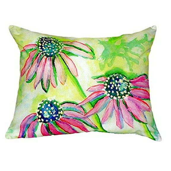 Cone Flowers No Cord Pillow 16x20