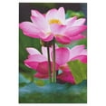thumbnail image 5 of American Greetings Blank Thinking of You Cards for Friend, Floral (6-count), 5 of 7
