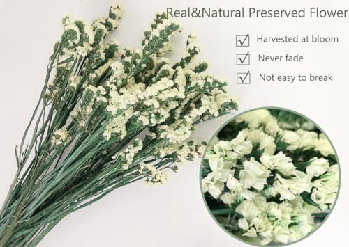 Dried Flowers Sea Lavender Forget-me-not Bouquet, 22 Inch Natural Statice Preserved Flower, Myosotis Sylvatica Flower for Arrangements, Home Decor, Wedding, Party (Yellow)
