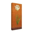 thumbnail image 2 of Trademark Fine Art 'White Flower On Orange' Canvas Art by Pablo Esteban, 2 of 3