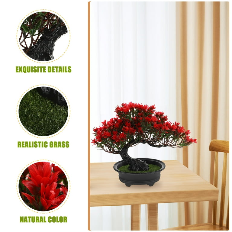 japanese bonsai plants Grow Your Own Bonsai Tree Kit Chinese Juniper