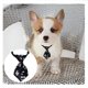 thumbnail image 4 of Nota De Poliéster Ajustable Portátil/Decoración Con Estampado De Labios Mascota Gato Perro Cachorro Corbata Accesorios Regalo Eigraketly PT001525-04, 4 of 6