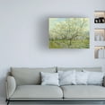 thumbnail image 2 of Van Gogh 'The White Orchard' Canvas Art, 2 of 4