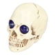 thumbnail image 1 of Adornos de calavera, adornos de calavera, adornos de calavera de diamantes de imitación de calavera de Halloween ligeros y vívidos, rendimiento de alta gama, 1 of 8