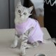 thumbnail image 3 of Ropa cómoda y ajustada para mascotas, ropa de recuperación postoperatoria para mascotas MFZFUKR s, 3 of 5